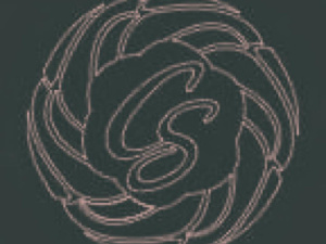 Charles Scott Salons & Spas